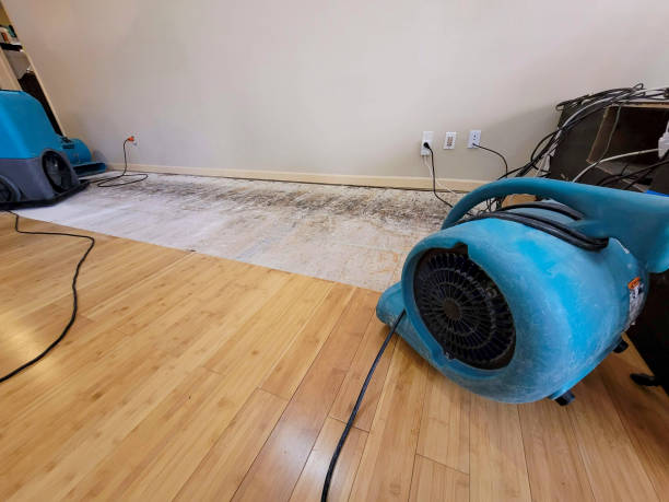 Professional Water Removal technician working in Laurens, SC